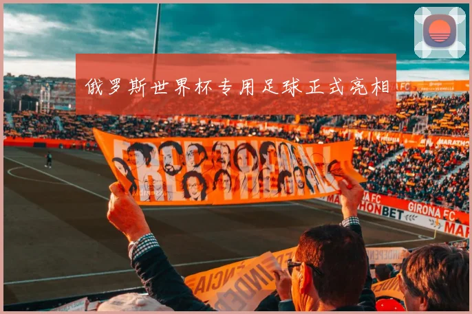 俄罗斯世界杯专用足球正式亮相
